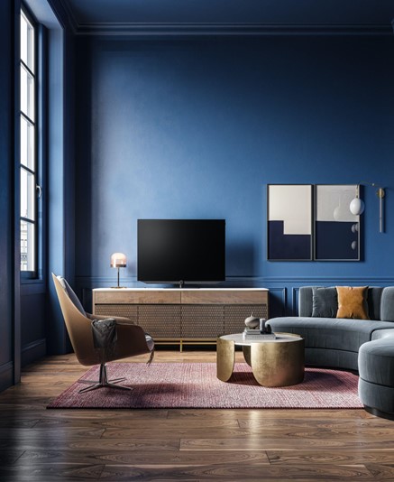 blue living room with tv shelf.jpg (50 KB)